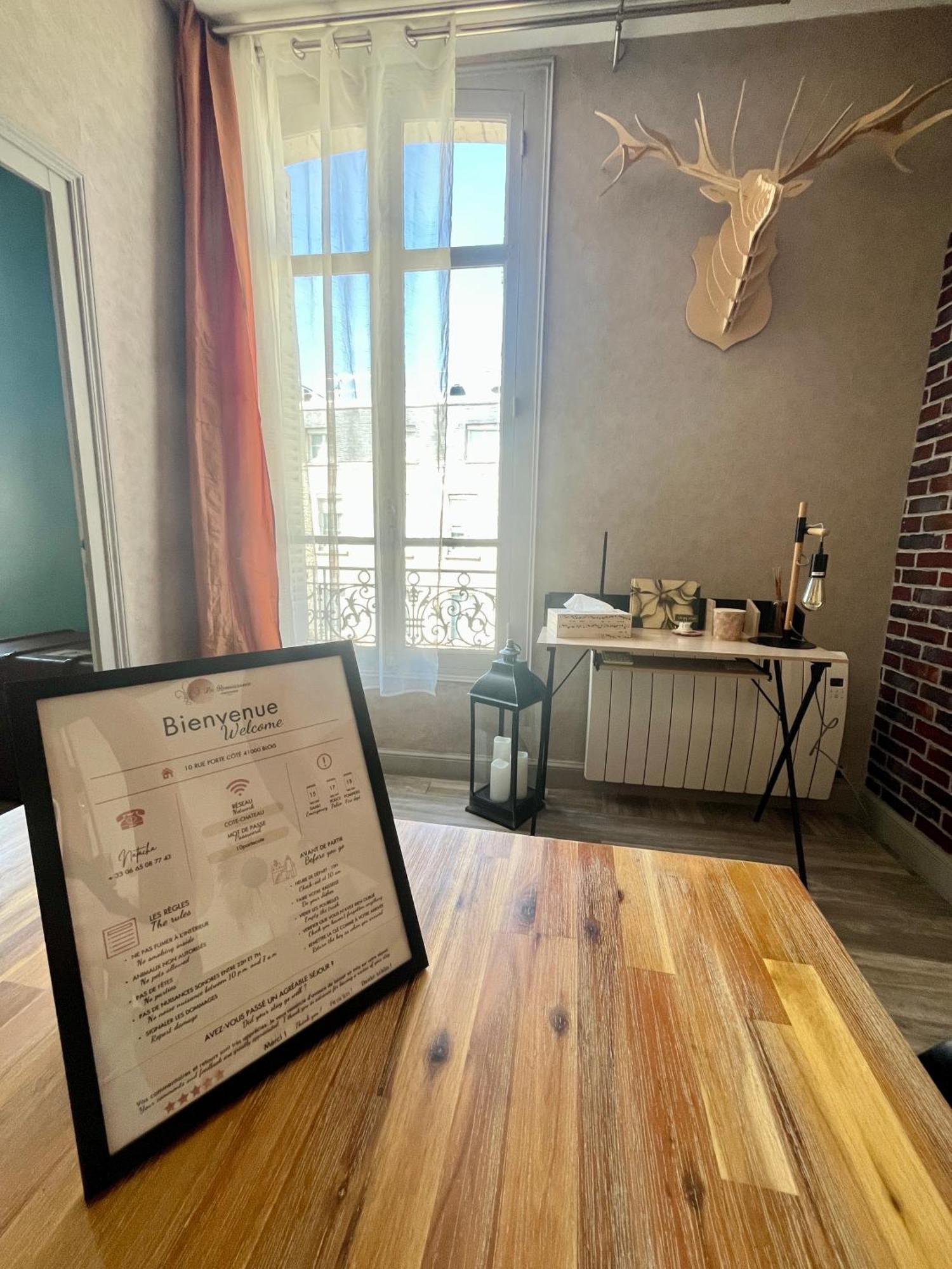 Cote Chateau - Grand Appartement Au Coeur De Μπλουά Εξωτερικό φωτογραφία